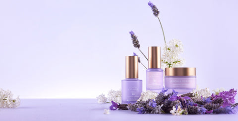 Experience our latest formulations